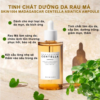Centella Ampoule Rau Má