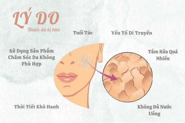 Nguyên nhân gây ra hiện tượng khô da