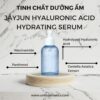 Tinh chất JAYJUN Hyaluronic Acid Hydrating Serum